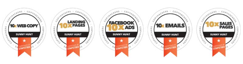 Sunny Hunt Copyhackers Badges